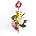 Nina Ricci Nina Rouge Eau de Toilette für Frauen 4 ml, Miniatur
