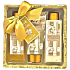 Salsa Collection Luxus Gold Pfingstrose und Jasmin Duschgel 170 ml + Körperlotion 170 ml + Badeschaum 150 ml + Paillettenbox, Kosmetikset