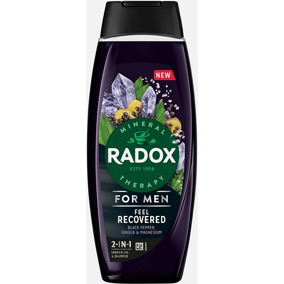 Radox Men Feel Recovered 2in1 Duschgel und Shampoo für Männer 450 ml
