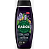 Radox Men Feel Recovered 2in1 Duschgel und Shampoo für Männer 450 ml