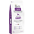 Brit Care Getreidefreies Lachs + Kartoffelfutter für erwachsene Hunde von Riesenrassen 12 kg