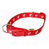 B & F Pfotenriemen rot 1,5 x 30-50 cm