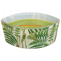 WoodWick Decal Fern - Farnduftkerze mit breitem Holzdocht und Glasbootsdeckel 453 g