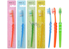 Spokar 3416 Clinic Medium Medium Zahnbürste, gerade geschnittene Fasern und präzise abgerundete Enden