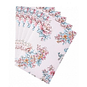 Heathcote & Ivory Pinks & Pear Blossom parfümiertes Papier 5 Blatt