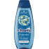 Schauma Shampoo Men 3in1 Meeresmineralien und Aloe Vera, 400 ml