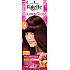 Schwarzkopf Palette Farbe & Glanz Haarfarbe 5 - 89
