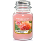 Yankee Candle Sun Drenched Apricot Rose - Gestickte Duftkerze mit Aprikosenrose Klassisches großes Glas 623 g