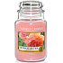 Yankee Candle Sun Drenched Apricot Rose - Sonnengetränkte Aprikosenrose Duftkerze Classic groß Glas 623 g