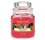 Yankee Candle Tropical Jungle Klassisches kleines Glas 104 g