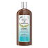 Biotter GlySkinCare Arganöl Haarspülung für gesundes und glänzendes Aussehen 250 ml