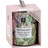 Aroma di Rogito Tropical Smoothy - Tropische Smoothie-Duftkerze Glas 85 x 105 mm 200 g