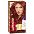 Wella Wellaton Hair Mousse 66/46 Rote Kirsche