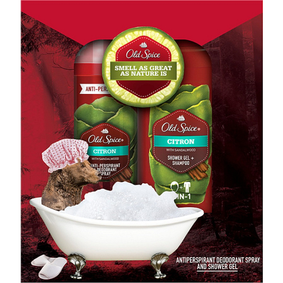 Old Spice Lemon mit Sandelholz 2 in 1 Shampoo und Duschgel für Männer 250 ml + Deodorant Spray 125 ml, Kosmetikset