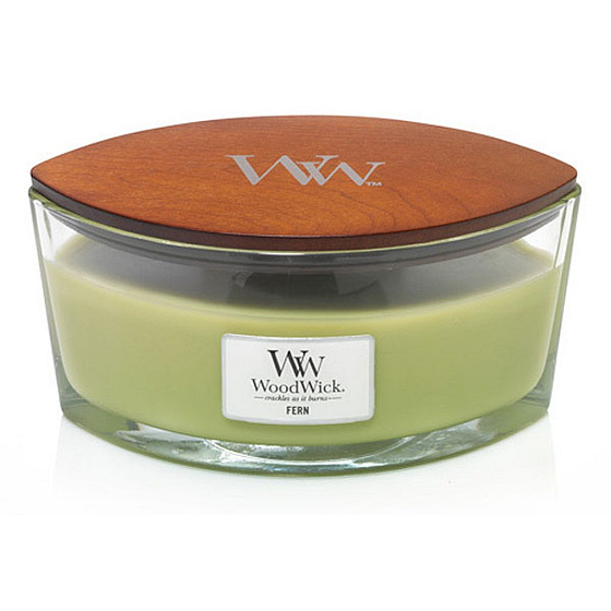WoodWick Fern - Farnduftkerze mit breitem Holzdocht und Glasschiffdeckel 453 g