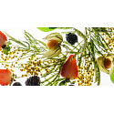 Millefiori Milano Natural Berry Delight - Fruchtdiffus Diffusor 100 ml + 7 Stiele 25 cm lang für kleinere Räume dauert 5-6 Wochen