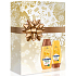 Schauma Nature Moments Honigelixier und Kaktusfeigenöl zur Regeneration und Kräftigung der Haare Shampoo 250 ml + Balsam 200 ml, Kosmetikset
