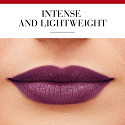 Bourjois Rouge Fabuleux Lippenstift 15 Plum Plum Pidou 2,4 g