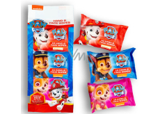 Paw Patrol Paw Patrol Feuchttücher für Hände und Gesicht 3 x 10 Stück