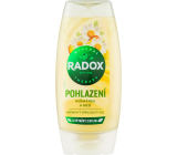 Radox Duschgel Streicheleinheit 225ml