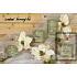 Lima Wellness Present Kiefernwald Aroma Kerze grün Würfel 65 x 65 mm 1 Stück