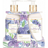 Baylis & Harding Flieder und English Lavender Flüssigseife 300 ml + Handmilch 300 ml, Kosmetikset