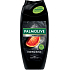 Palmolive Duschgel und Shampoo Men Red Energising 3in1, 250 ml