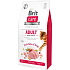 Brit Care Cat Grain-Free Adult Activity Support, komplettes Futter für erwachsene Katzen, die draußen leben, und für Katzen mit hohem Aktivitätsniveau, 7 kg