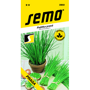 Semo Schnittlauch Praga 1,8 g