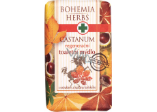 Böhmen Geschenke Castanum Rosskastanienextrakt Regenerierende Toilettenseife 100 g