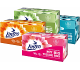 Linteo Papiertaschentücher 2-lagig Box, 200 St.