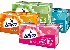 Linteo Papiertaschentücher 2-lagig Box, 200 St.