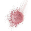 Bourjois Fard Pastel Joues Rouge 54 Rose Frisson 2,5 g