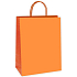 Ditipo Geschenk Papiertüte 18 x 8 x 24 cm ECO orange