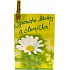 Nekupto Geschenkkarte Viel Liebe und Sonne 7 x 5,5 cm 1 Stück