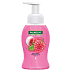 Palmolive Magic Softness Himbeerschaum flüssiger Händedesinfektionsspender 250 ml