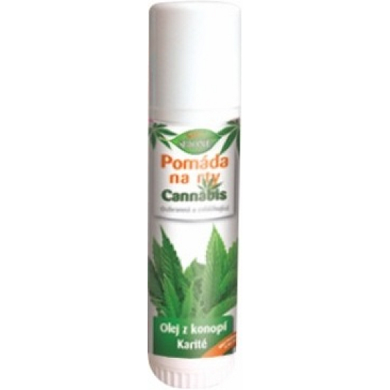 Bione Cosmetics Cannabis Lippenbalsam 5 ml