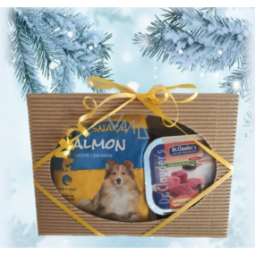 Canis Prosper Weihnachtsgeschenk-Papierbox mit Leckerlis für Hunde 4