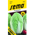 Semo Pekingkohl Manoko F1 Hybrid 40 Samen