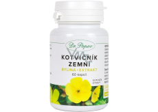 DR. Popov Anchor gemahlene Kapsel 60 Stück 32 g