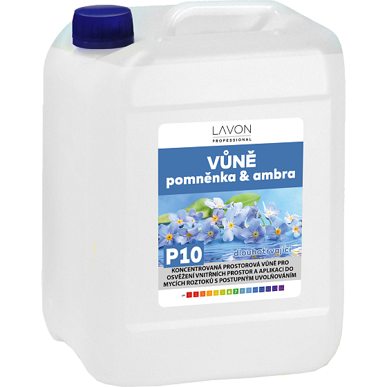 LAVON Raumspray Vergissmeinnicht & Amber, 5 l