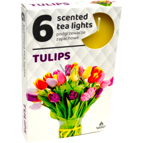 Teelichter Tulpe duftende Teelichter 6 Stück