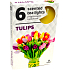 Teelichter Tulpe duftende Teelichter 6 Stück