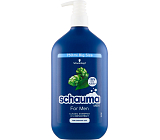 Schauma Men Classic Shampoo für Männer, 750 ml
