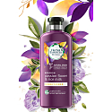 Kräuteressenzen nähren Passion Flow & Reismilch Conditioner mit Passionsfrucht und Reismilch, für gepflegtes Haar, ohne Parabene 360 ml