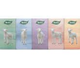 Diese Chic & Style Hygienetaschentücher 3 lagig 10 Stück