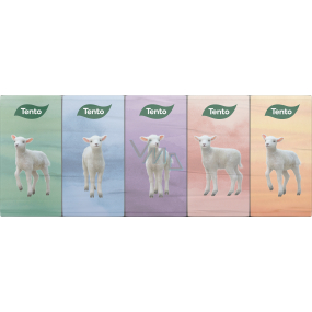 Diese Chic & Style Hygienetaschentücher 3 lagig 10 Stück