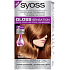 Syoss Gloss Sensation Schonende Haarfarbe ohne Ammoniak 7-76 Aprikosenkupfer 115 ml