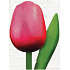 Böhmen Geschenke Holztulpe rosa-rot 20 cm