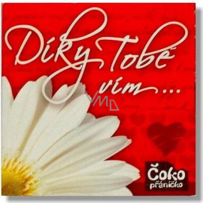 Nekupto Čokopřáníčko Dank dir weiß ich ... Schokolade 65 g aus Liebe